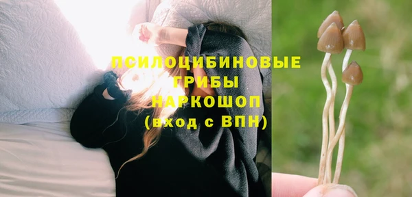 трава Сосновка