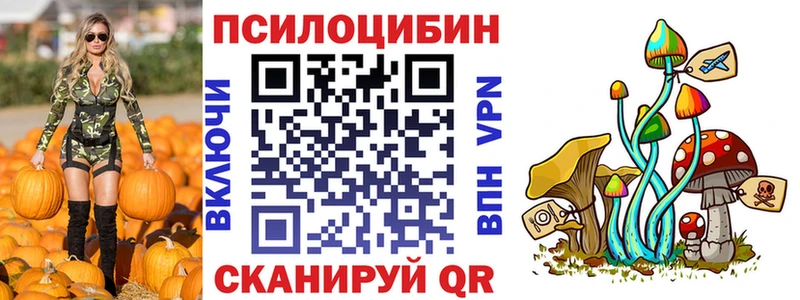Галлюциногенные грибы Psilocybine cubensis  даркнет сайт  omg сайт  Николаевск-на-Амуре 